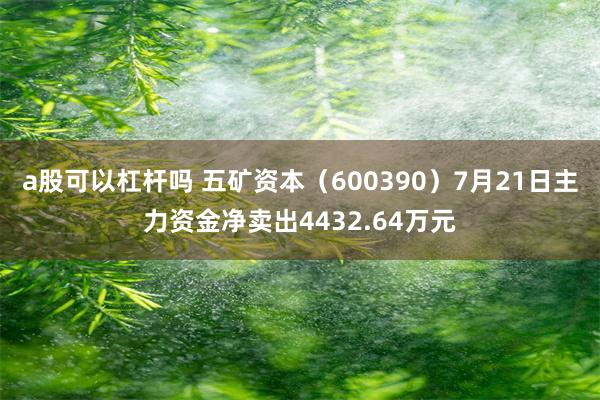 a股可以杠杆吗 五矿资本（600390）7月21日主力资金净卖出4432.64万元