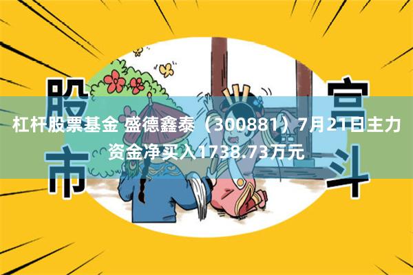 杠杆股票基金 盛德鑫泰（300881）7月21日主力资金净买入1738.73万元