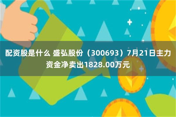 配资股是什么 盛弘股份（300693）7月21日主力资金净卖出1828.00万元
