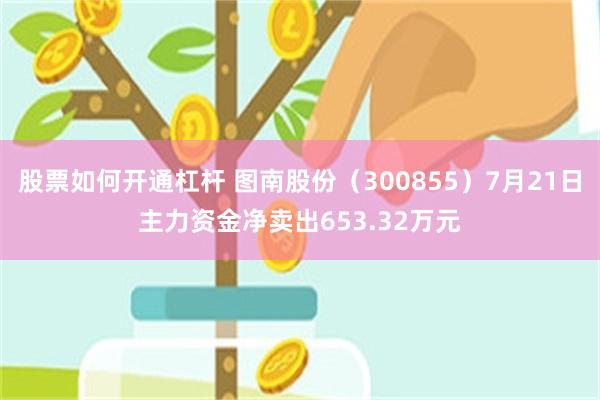 股票如何开通杠杆 图南股份（300855）7月21日主力资金净卖出653.32万元