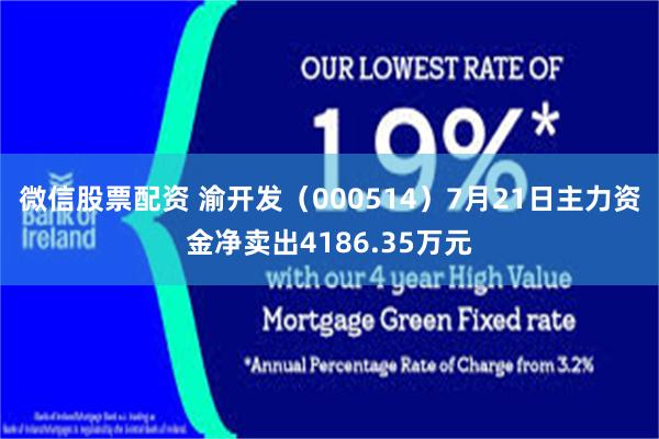 微信股票配资 渝开发（000514）7月21日主力资金净卖出4186.35万元