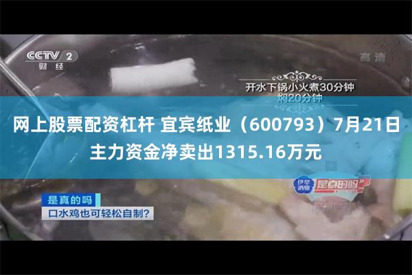 网上股票配资杠杆 宜宾纸业（600793）7月21日主力资金净卖出1315.16万元