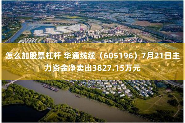 怎么加股票杠杆 华通线缆（605196）7月21日主力资金净卖出3827.15万元