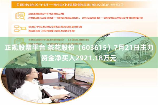 正规股票平台 茶花股份（603615）7月21日主力资金净买入2921.18万元