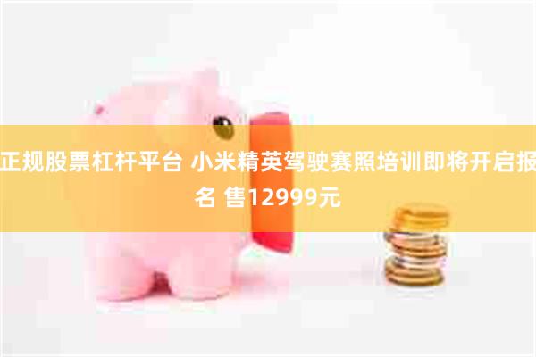正规股票杠杆平台 小米精英驾驶赛照培训即将开启报名 售12999元