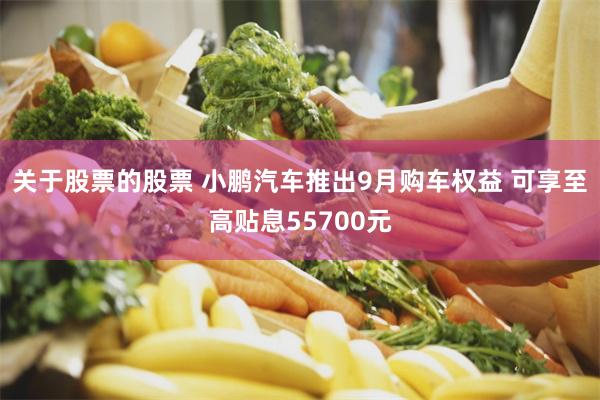 关于股票的股票 小鹏汽车推出9月购车权益 可享至高贴息55700元