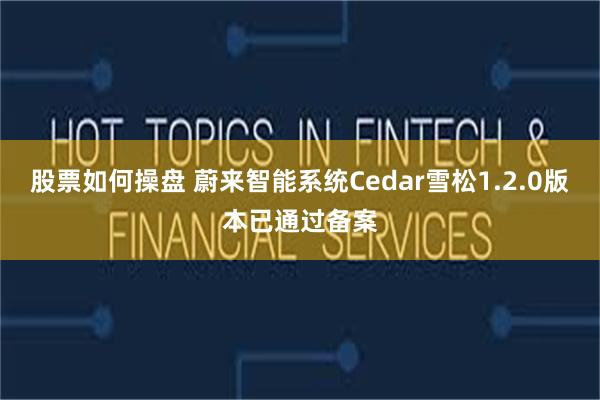 股票如何操盘 蔚来智能系统Cedar雪松1.2.0版本已通过备案