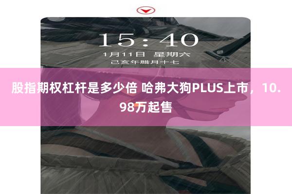 股指期权杠杆是多少倍 哈弗大狗PLUS上市,10.98万起售