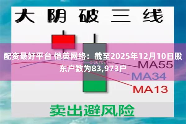 配资最好平台 恺英网络：截至2025年12月10日股东户数为83,973户