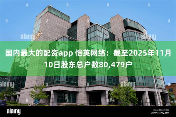 国内最大的配资app 恺英网络：截至2025年11月10日股东总户数80,479户