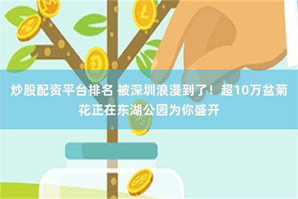 炒股配资平台排名 被深圳浪漫到了!超10万盆菊花正在东湖公园为你盛开