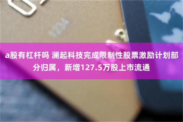 a股有杠杆吗 澜起科技完成限制性股票激励计划部分归属，新增127.5万股上市流通