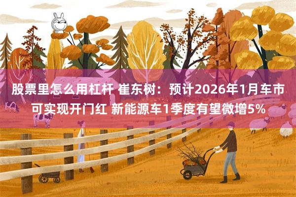 股票里怎么用杠杆 崔东树：预计2026年1月车市可实现开门红 新能源车1季度有望微增5%