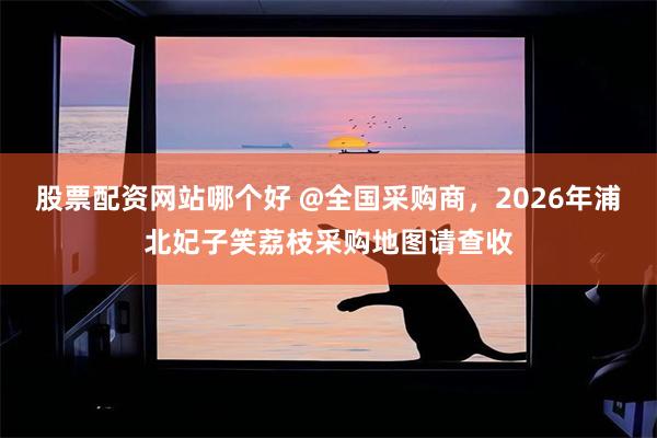 股票配资网站哪个好 @全国采购商，2026年浦北妃子笑荔枝采购地图请查收