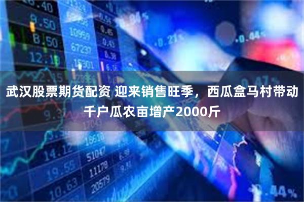 武汉股票期货配资 迎来销售旺季，西瓜盒马村带动千户瓜农亩增产2000斤