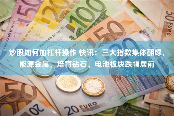 炒股如何加杠杆操作 快讯:三大指数集体翻绿,能源金属、培育钻石、电池板块跌幅居前