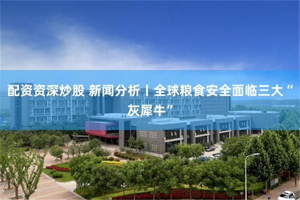 配资资深炒股 新闻分析丨全球粮食安全面临三大“灰犀牛”