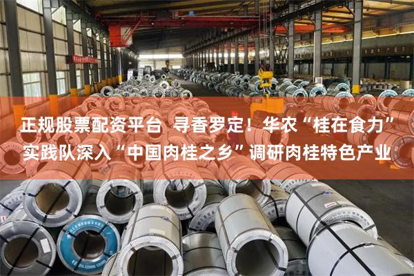 正规股票配资平台  寻香罗定！华农“桂在食力”实践队深入“中国肉桂之乡”调研肉桂特色产业