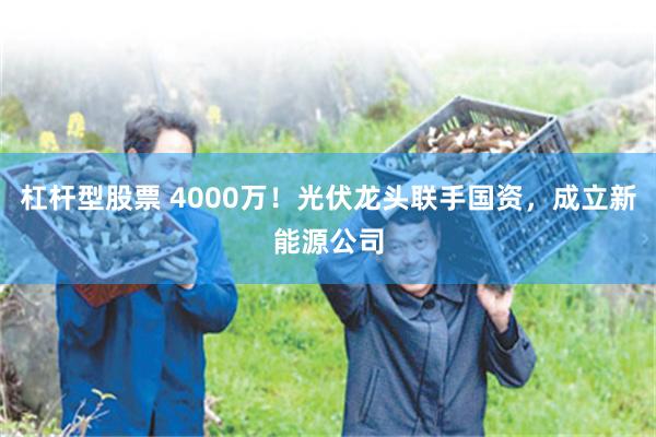 杠杆型股票 4000万！光伏龙头联手国资，成立新能源公司