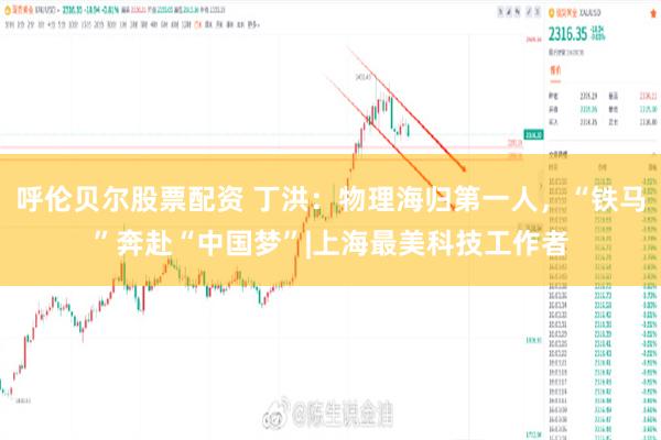 呼伦贝尔股票配资 丁洪：物理海归第一人，“铁马”奔赴“中国梦”|上海最美科技工作者