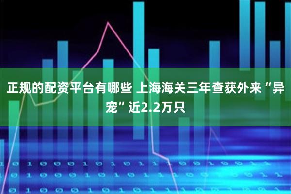 正规的配资平台有哪些 上海海关三年查获外来“异宠”近2.2万只