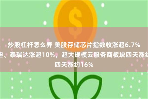 炒股杠杆怎么弄 美股存储芯片指数收涨超6.7%，闪迪、泰瑞达涨超10%，超大规模云服务商板块四天涨约16%