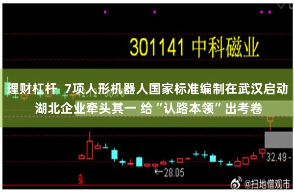 理财杠杆  7项人形机器人国家标准编制在武汉启动 湖北企业牵头其一 给“认路本领”出考卷