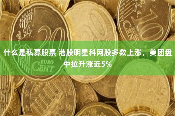 什么是私募股票 港股明星科网股多数上涨，美团盘中拉升涨近5%