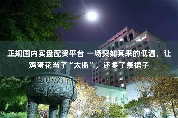 正规国内实盘配资平台 一场突如其来的低温，让鸡蛋花当了“太监”，还多了条裙子