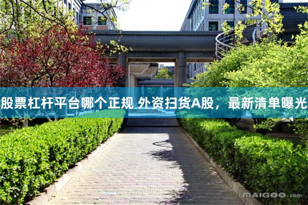 股票杠杆平台哪个正规 外资扫货A股，最新清单曝光