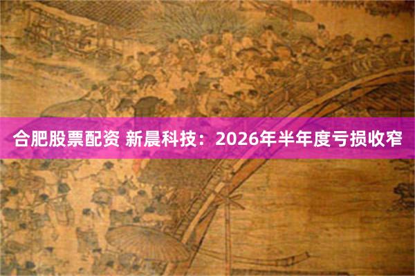 合肥股票配资 新晨科技：2026年半年度亏损收窄