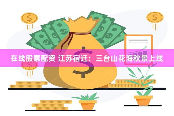 在线股票配资 江苏宿迁：三台山花海秋景上线