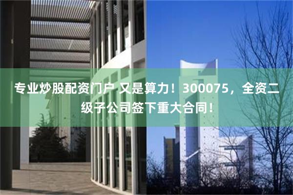 专业炒股配资门户 又是算力！300075，全资二级子公司签下重大合同！