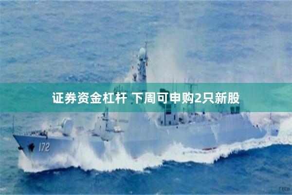 证券资金杠杆 下周可申购2只新股