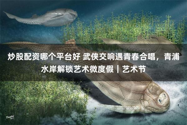 炒股配资哪个平台好 武侠交响遇青春合唱，青浦水岸解锁艺术微度假｜艺术节