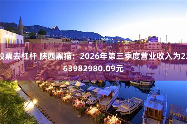 股票去杠杆 陕西黑猫：2026年第三季度营业收入为2263982980.09元