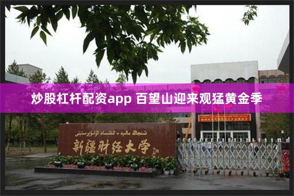 炒股杠杆配资app 百望山迎来观猛黄金季